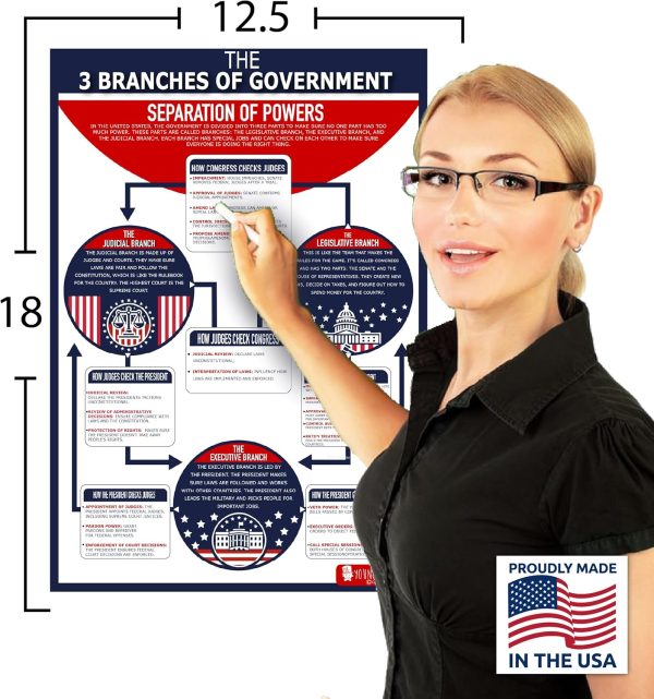 Young N Refined 16 US Government History LARGE poster pack Charts for classrooms 12.5x18 Matt USA MADE
