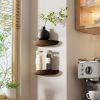 WF0785MAX_2 Half Round Floating Shelves for Wall, 2 Pack Small Paulownia Wood, Screw Mount, for Plants & Decor