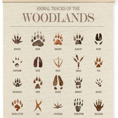 Foritho Animal Tracks of the Woodlands Poster Wall Art Framed, Woodland Nursery Decor, Jungle Forest Animal Tracks Field Guide Canvas Prints Wall Decor for Nursery Kids Room Playroom, 12x16 Inch