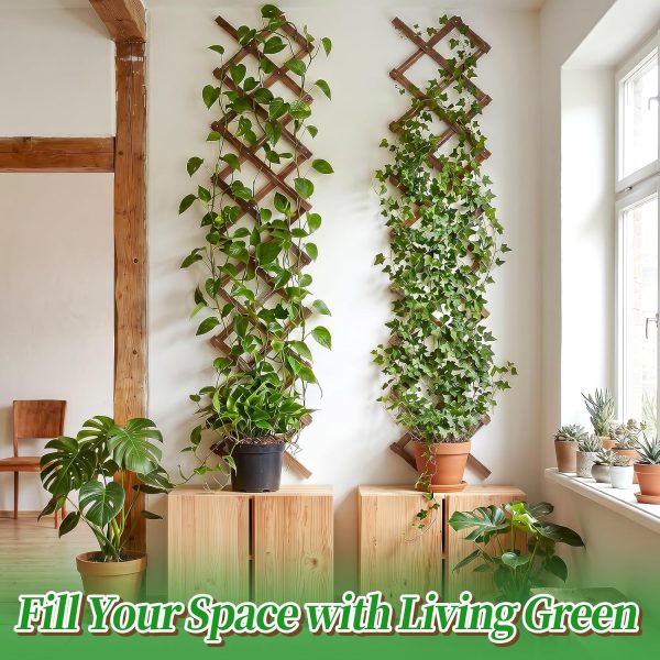 2Pcs 13x78 Expandable Wood Wall Trellis for Climbing Plants Outdoor/Indoor | Thick Wood, Decorative Lattice Panels for Outside, Inside, Balcony Patio Garden, Ideal for Ivy, Vines, Clematis, Roses