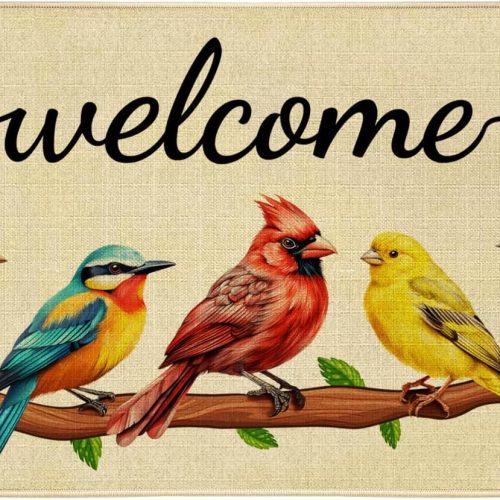 JWXCBIM Spring Door Mat Bird Welcome Decor Doormat, Summer Decorative Indoor Outdoor Non-Slip Mat for Home Entrance, Outside Entry, Floor, Patio 17x30 Inches