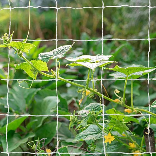 WF4244MAX_2 Tcamp Heavy-Duty Polyester Plant Trellis Netting 5 x 15ft (1 Pack)