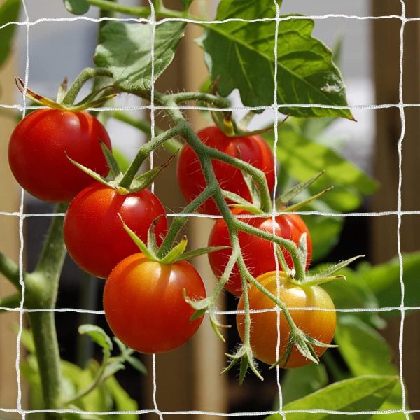 WF4244MAX_3 Tcamp Heavy-Duty Polyester Plant Trellis Netting 5 x 15ft (1 Pack)