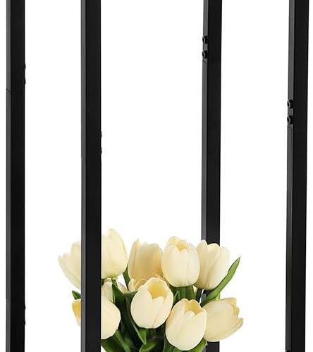 Dipion Extra Tall Plant Stand Indoor,40 Inch Plant Stands,2 Tier Metal Plant Stand with Heavy Duty Wood,Black
