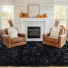 Pionblank 8x10 Rug for Living Room, Fluffy Plush Large Area Rug, Black | Modern Shag Non Slip Soft Fuzzy Furry Carpet for Bedroom Kids Room Teens Dorm Home Decor