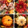 CT0440392JS_3 Fall Wreaths for Front Door 24 Inch Autumn Wreath Rustic Fall Decor