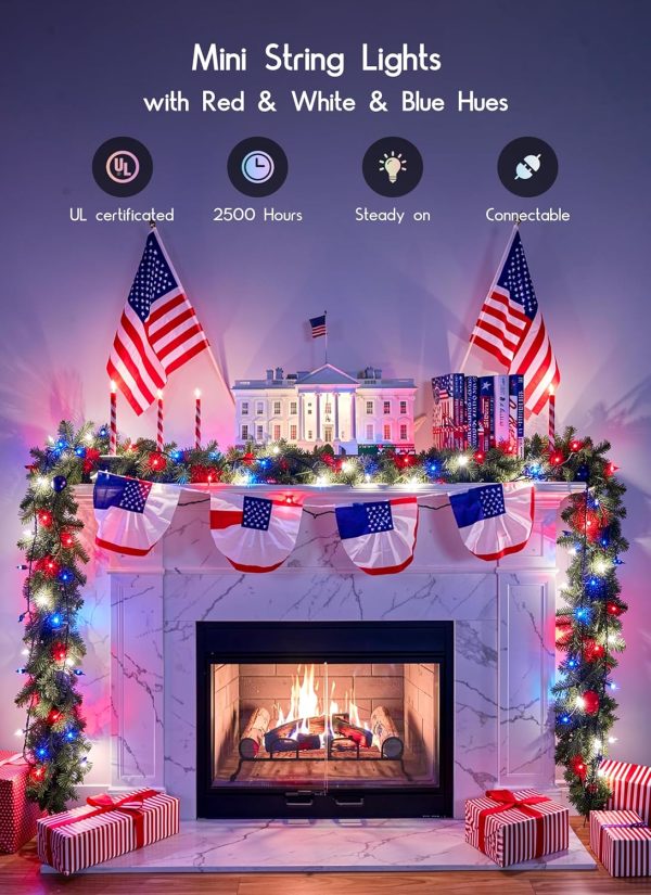 CT0505-PL-09GT_2 Minetom Red White Blue Christmas Lights Green Wire - 100 Count 4th July Decoration Patriotic Mini String Lights Waterproof for Indoor Outdoor Xmas Holiday Party Patio Independence Day Decoration