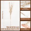 24 Pack Champagne Christmas Tree Picks and Sprays | Christmas Glitter Berry Stem Ornaments, Glittery Twigs, Picks, Branches for Xmas Tree, Party and Wedding Arrangements