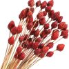 Rtteri 60 Pcs Red Dried Flowers with Stems for Vase Bouquet Bulk 16" Mini Ball Flowers Natural Fall Dried Pine Ball Eternal Life with Wedding Decor Bridal Shower Arrangement Party Table Decor