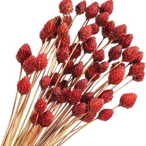 Rtteri 60 Pcs Red Dried Flowers with Stems for Vase Bouquet Bulk 16" Mini Ball Flowers Natural Fall Dried Pine Ball Eternal Life with Wedding Decor Bridal Shower Arrangement Party Table Decor