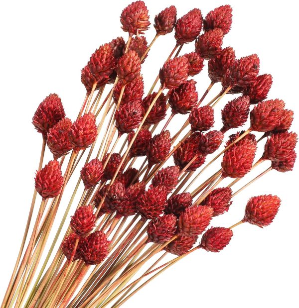 Rtteri 60 Pcs Red Dried Flowers with Stems for Vase Bouquet Bulk 16" Mini Ball Flowers Natural Fall Dried Pine Ball Eternal Life with Wedding Decor Bridal Shower Arrangement Party Table Decor