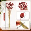 Rtteri 60 Pcs Red Dried Flowers with Stems for Vase Bouquet Bulk 16" Mini Ball Flowers Natural Fall Dried Pine Ball Eternal Life with Wedding Decor Bridal Shower Arrangement Party Table Decor