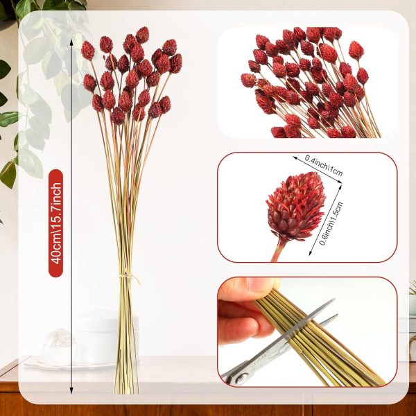 Rtteri 60 Pcs Red Dried Flowers with Stems for Vase Bouquet Bulk 16" Mini Ball Flowers Natural Fall Dried Pine Ball Eternal Life with Wedding Decor Bridal Shower Arrangement Party Table Decor