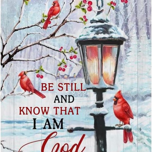 DIADAY Winter Cardinal Diamond Painting Kit with Inspirational Bible Verse, Diamond Art Kits for Adults, Full Drill Diamond Art, 5D DIY Craft Home Wall Decor Gift 12 x 12 Inches