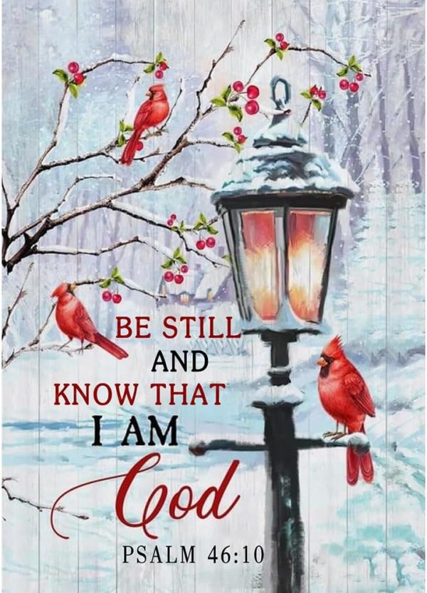 DIADAY Winter Cardinal Diamond Painting Kit with Inspirational Bible Verse, Diamond Art Kits for Adults, Full Drill Diamond Art, 5D DIY Craft Home Wall Decor Gift 12 x 12 Inches