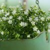 6PCS Artificial Eucalyptus Plants,Fake Boxwood Shrubs UV Resistant No Fade Faux Plastic Greenery for Wedding Bridal Bouquet Indoor Outdoor Home Garden Kitchen Office Table Vase(Milk Green)