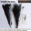 Natural Dried Pampas Grass Bouquet, 17" Black and Dark Grey Dried Flower Bouquet, Mixed with Thistle, Bohemian Style Home Dried Flower Decoration, DIY Assembly