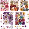 5 Packs of 140 Pressed Dried Flowers and Leaves for Resin | Assorted Real Natural Dry Flowers with Tweezers For DIY Crafts, Jewelry, Card Making, Soap,Candles, Nail Art, Scrapbooking