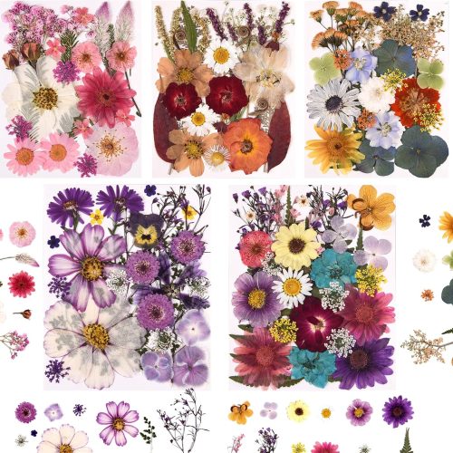 5 Packs of 140 Pressed Dried Flowers and Leaves for Resin | Assorted Real Natural Dry Flowers with Tweezers For DIY Crafts, Jewelry, Card Making, Soap,Candles, Nail Art, Scrapbooking