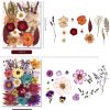 5 Packs of 140 Pressed Dried Flowers and Leaves for Resin | Assorted Real Natural Dry Flowers with Tweezers For DIY Crafts, Jewelry, Card Making, Soap,Candles, Nail Art, Scrapbooking