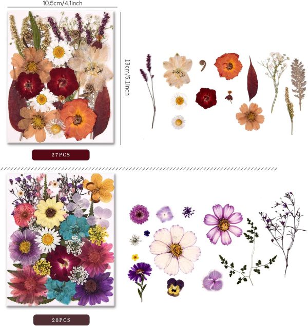 5 Packs of 140 Pressed Dried Flowers and Leaves for Resin | Assorted Real Natural Dry Flowers with Tweezers For DIY Crafts, Jewelry, Card Making, Soap,Candles, Nail Art, Scrapbooking