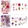 5 Packs of 140 Pressed Dried Flowers and Leaves for Resin | Assorted Real Natural Dry Flowers with Tweezers For DIY Crafts, Jewelry, Card Making, Soap,Candles, Nail Art, Scrapbooking