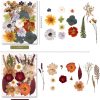 5 Packs of 140 Pressed Dried Flowers and Leaves for Resin | Assorted Real Natural Dry Flowers with Tweezers For DIY Crafts, Jewelry, Card Making, Soap,Candles, Nail Art, Scrapbooking