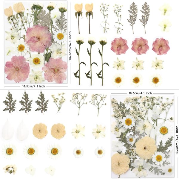 LUXEEASE 80P White Pink Dried Pressed Flowers | Ivory white palette, fits any project, blush butter hints, for wedding resin jewelry scrapbook frame decor, tweezers included
