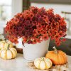 CTMCE01402CT_3 Geegoods Artificial Mum Flowers for Outdoors, 16 Bundles UV Resistant