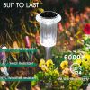 CTPAR-S-005_3 Eyrosa Solar Outdoor Lights, 10 Pack Waterproof Stainless Steel Solar Stake Lights for Pathway Garden Yard Path Walkway Driveway Lawn Patio Outside Decor, Cool White