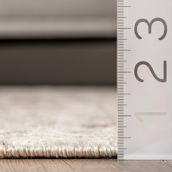 nuLOOM Freja Beige Floral & Paisley Power Loomed Area Rug, 2' x 3' | Nuloom Freja Floral & Paisley 2' x 3' Accent Rug for Living Room Bedroom Dining Room Entryway, Beige