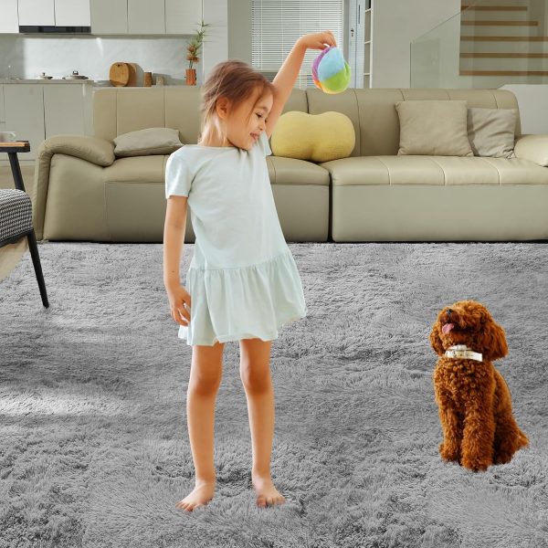 CTPAR-S-829_2 5X8 Ultra Soft Rug for Living Room, 5X8 Fluffy Shag Area Rug for Bedroom, Modern Shaggy Carpets Fuzzy Rug for Teens Dorm Nursery Home Decor Aesthetic, Upgrade Anti-Skid Durable, Grey