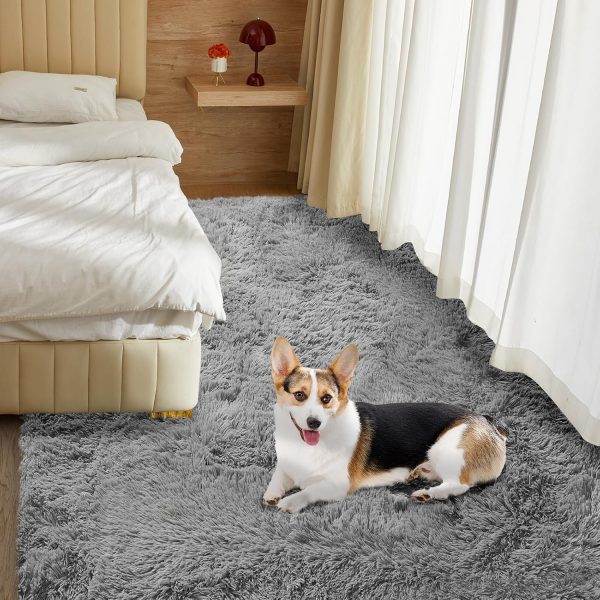 CTPAR-S-829_4 5X8 Ultra Soft Rug for Living Room, 5X8 Fluffy Shag Area Rug for Bedroom, Modern Shaggy Carpets Fuzzy Rug for Teens Dorm Nursery Home Decor Aesthetic, Upgrade Anti-Skid Durable, Grey