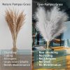 38" 10 Stems Faux Pampas Grass Decor Grey Tall Pampas Grass for Floor Vase | Artificial Pampas Grass Fluffy Pompas Floral Arrangement and Vase Filler for Boho Home Wedding Mothers Day Decoration