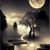 COHAYISY Moon Beach Diamond Art Kits for Adults, 5D Seaside Moonlight Diamond Painting Kits for Beginners, DIY Full Drill Dots Gem Art Paint for Home Wall Decor 12 x 16 Inch