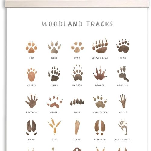 AWISBI Woodland Animal Tracks Hanging Poster, Woodland Nursery Decor 16x20 Inch, Animal Tracks Canvas Artwork, Forest Nursery Decor, Boy Nursery Wall Decor For Kids