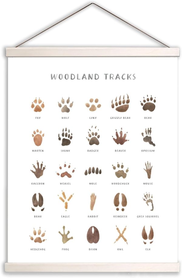 WF10902MAX_1 AWISBI Woodland Animal Tracks Hanging Poster, Woodland Nursery Decor 16x20 Inch, Animal Tracks Canvas Artwork, Forest Nursery Decor, Boy Nursery Wall Decor For Kids