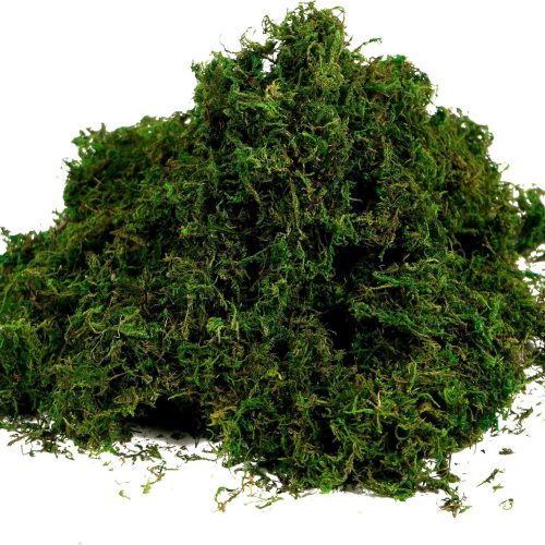 Artificial Moss Fake Green Grass for Centerpieces Home Kitchen Garden Decor (3.5OZ, Fresh)