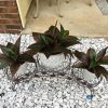 Fake Plants Artificial Plant Outdoor Shrubs Faux Grass Plastic Leaves Greenery Bushes Home Garden Wedding Party Decorations Indoor Office Yard UV Resistant Planter Filler Red 2 Pack