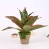 Fake Plants Artificial Plant Outdoor Shrubs Faux Grass Plastic Leaves Greenery Bushes Home Garden Wedding Party Decorations Indoor Office Yard UV Resistant Planter Filler Red 2 Pack