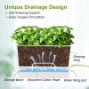 Oliz Self Watering Planters: 2 Packs Rectangular Plant Pots with with Drainage and Tray, 10 Inch Window Pot Self Watering Planter for Herb, Houseplants