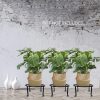 yosager 3 Pack Metal Plant Stands for Flower Pot, Heavy Duty Black Iron Potted Stand Holder, Indoor Outdoor Rustproof Metal Planter Container Round Supports Display Rack for Home & Garden Decor