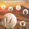 N&T NETING Dried Pampas Grass Decor- White Pampas Grass, Brown Pampas, Bunny Tail, Reed, Fluffy Dried Pompas Grass Flower for Home Wedding Table Vase Boho Modern Decor, 75Pcs