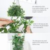 WFOOOO832YRM_3 Whonline Fake Hanging Plants, Artificial Small Potted Plants for Indoor Outdoor Aesthetic Office Living Room Shelf Decor (1 Pack)