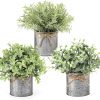 Mkono Small Fake Plants, 3 Pack Faux Plants for Farmhouse Home Decor Indoor | Galvanized Metal Pots, Laundry Room Bathroom Cabin Classroom Office Shelf Table Decoration, Artificial Plants Eucalyptus