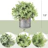 Mkono Small Fake Plants, 3 Pack Faux Plants for Farmhouse Home Decor Indoor | Galvanized Metal Pots, Laundry Room Bathroom Cabin Classroom Office Shelf Table Decoration, Artificial Plants Eucalyptus