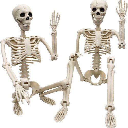 2 Pack 36"Halloween Skeleton - 3 ft Life Size Human Skeleton with Full Body Posable Joints Plastic Skeleton for Halloween Skeletons Decor Yard Patio Lawn Garden Skeleton Props Spooky Party Decoration