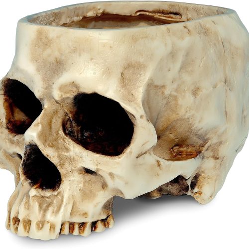 CT0440657JS_1 READAEER Skull Planter with Drain Hole, Resin Skull Shaped Flower Pot Candy Bowl, Gothic Decoration for Home Office Desk- White