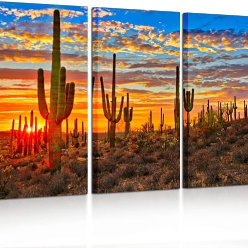 KREATIVE ARTS Large 3 Piece Canvas Wall Art Beautiful Sunset Landscape of National Park Arizona Sonoran Desert Cactus Pictures Stretched for Home Office Decor 16x32inchx3pcs