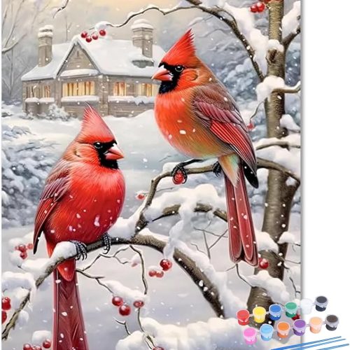 Cardinal Paint by Numbers Kit for Adults Canvas, Paint by Number Christmas